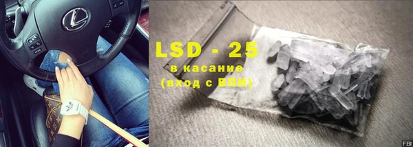 крисы Бородино