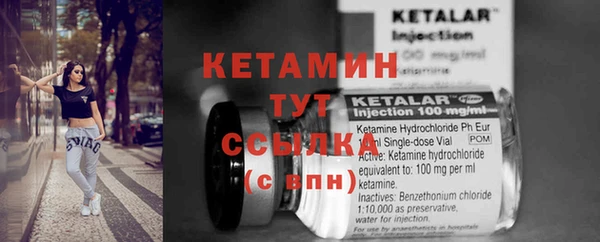 крисы Бородино
