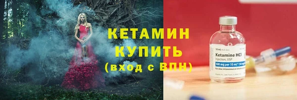 крисы Бородино