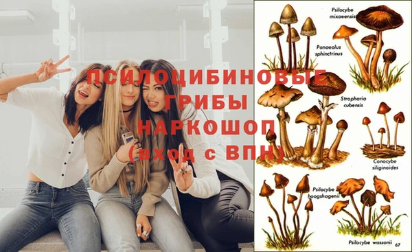мяу мяу мука Бугульма