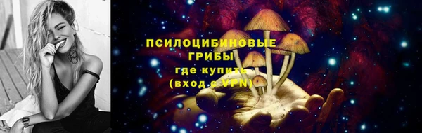 мяу мяу мука Бугульма