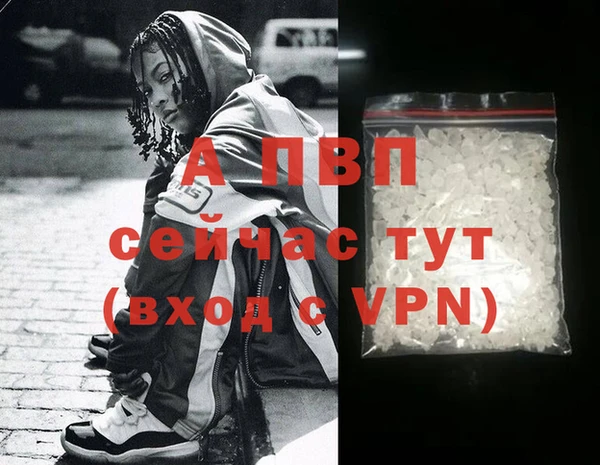 крисы Бородино