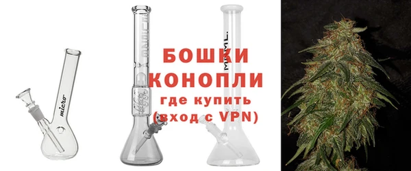 крисы Бородино
