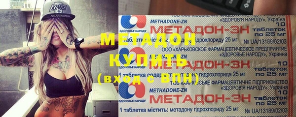 крисы Бородино