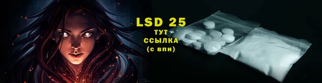 крисы Бородино