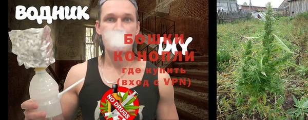 крисы Бородино