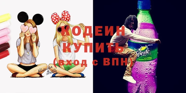 крисы Бородино