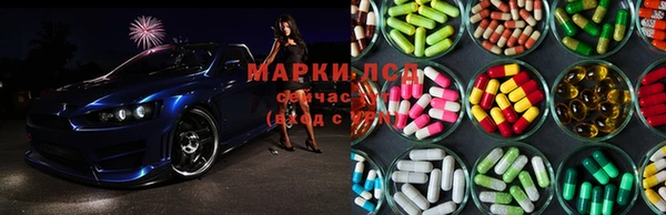 крисы Бородино