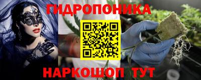 скорость Можга