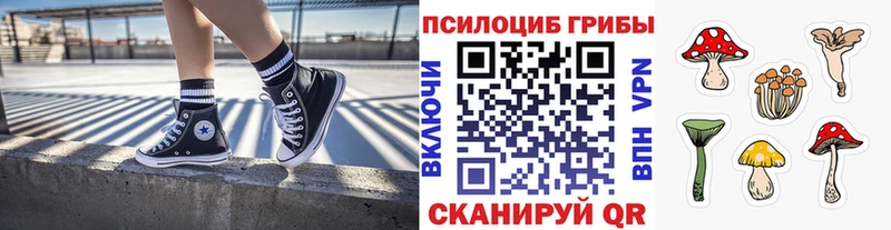 Галлюциногенные грибы GOLDEN TEACHER Воркута