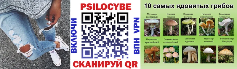Псилоцибиновые грибы мухоморы наркошоп Воркута